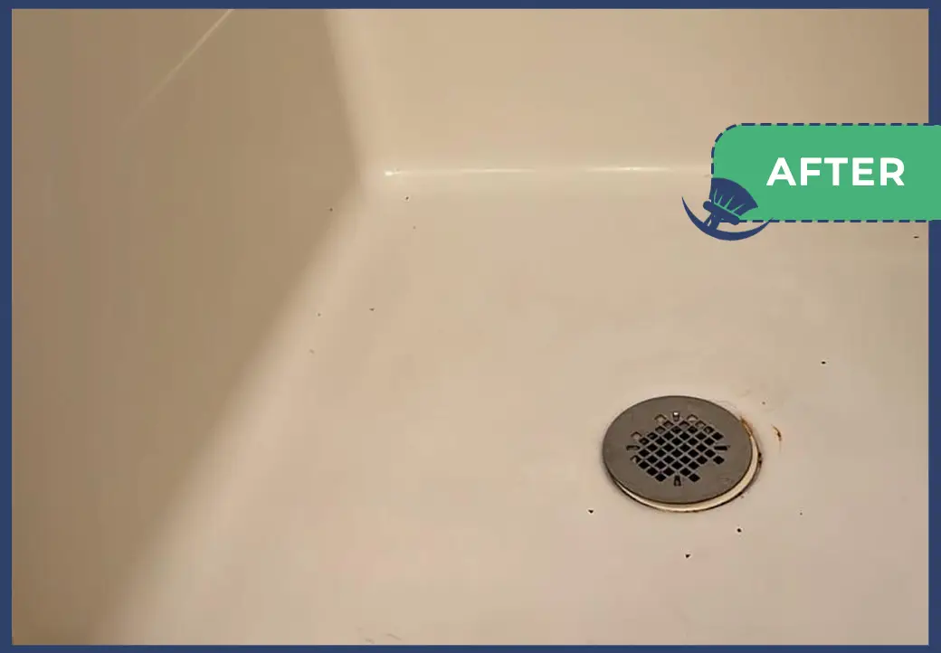 Deep Cleaning copiar
