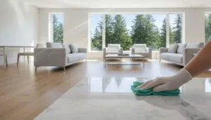 Top-Rated Cleaning Service in Bellevue: Trusted Home Care
